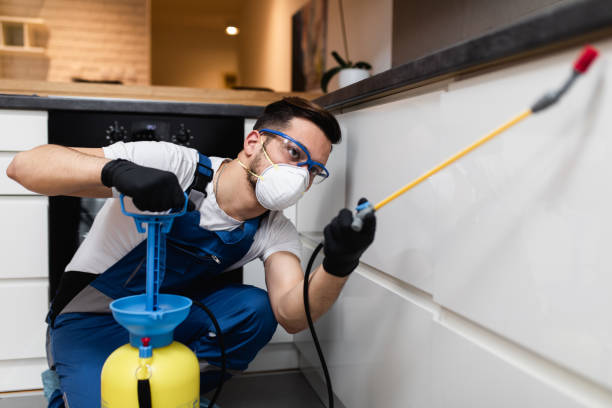 Best Pest Removal Services  in Viera West, FL