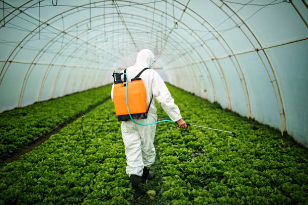 Best Pest Control Cost  in Viera West, FL