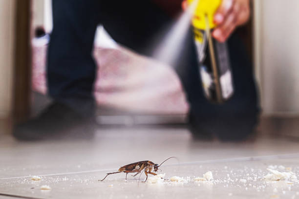 Pest Control Cost in Viera West, FL